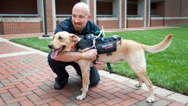 Wearable tech lets you talk to your dog