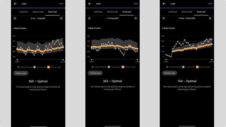 garmin connect chronic load