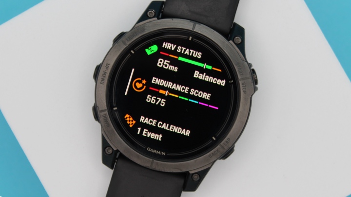 garmin endurance score widget