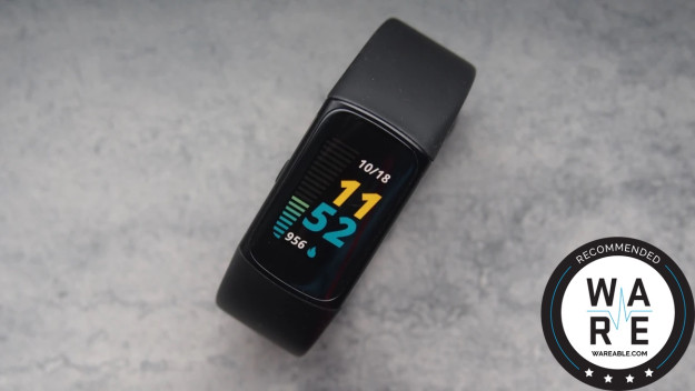 Fitbit Charge 6 review: Top tracker but with a flaw