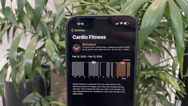 Apple Watch Cardio Fitness: How to find, use and understand