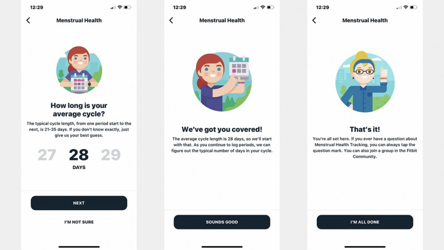 Fitbit’s menstrual health tracking tested and explained