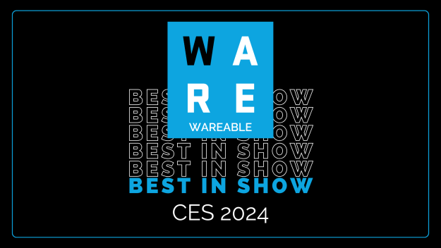 Best in show: Best wearables from CES 2024